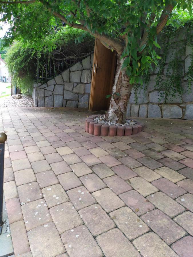 Ubytovani Iris Dolany  Exterior foto